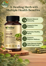 Adlay Premium Giloy Tablets | Authentic Ayurvedic Immunity & Daily Wellness Support - Image 2